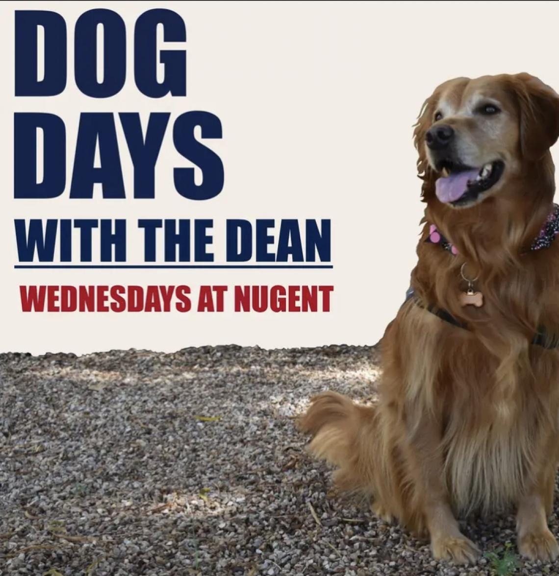 Dog Days with the Dean, Wednesdays at Nugent