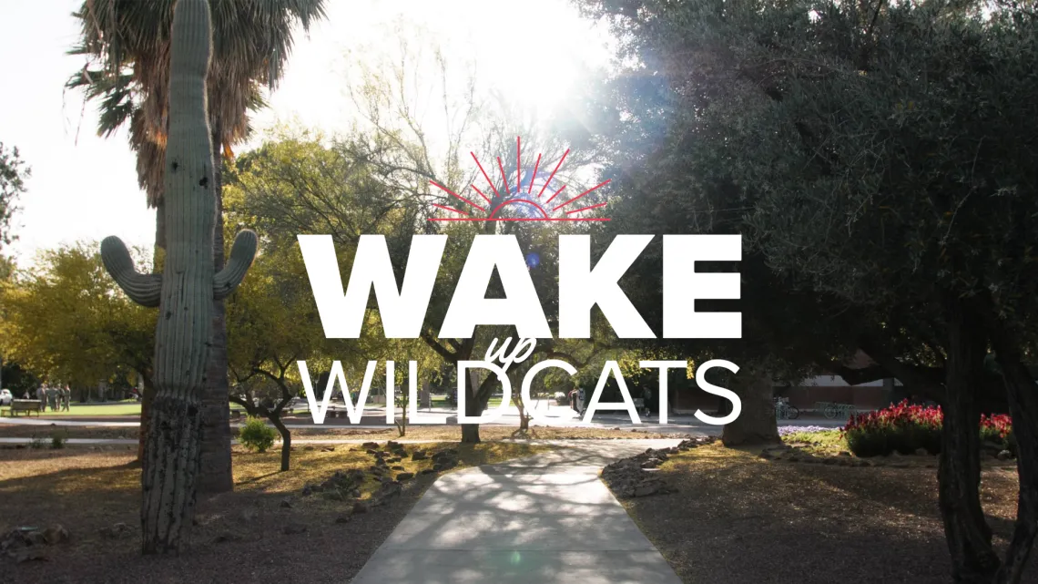 wake up wildcats over a sunrise