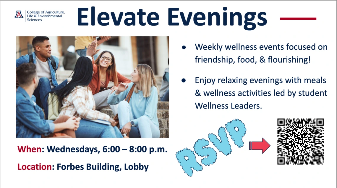 elevate evenings flyer