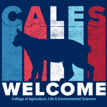 cales welcome decorative image with wildcat