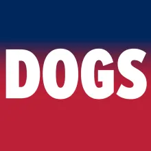 Red and Blue Gradient - Text = Dogs